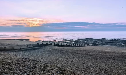 Couch Potato or Coach Potato? How One Bus Ride Made Me Rethink Parenting